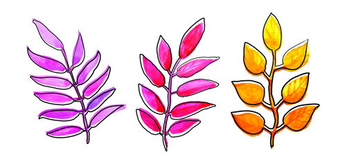 Hand-drawn watercolor illustration of leaves. A set of bright leaves highlighted on a white background. Schematic style with outline in black ink and textured splash spot