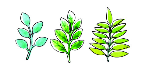 Hand-drawn watercolor illustration of leaves. A set of bright green leaves highlighted on a white background. Schematic style with outline in black ink and textured splash spot