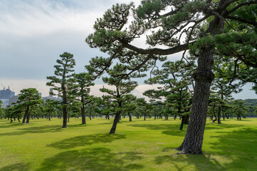 東京都千代田区丸の内から見た東京の都市景観