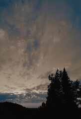 Wolkenhimmel interessant , Bäume 