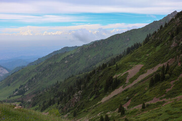 Fototapeta na wymiar beautiful mountain landscape in summer. mountains and clouds