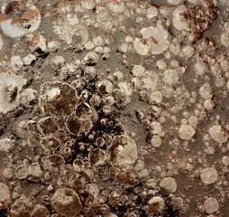 Abstract surface of liquide fat.