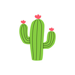 Texas cactus with spines and flowers. Cowboy western, wild west. Prickly desert plant or cacti with thorn. Hand drawn flat vector illustration