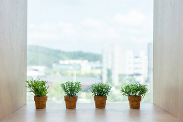 small flowerpots by the window