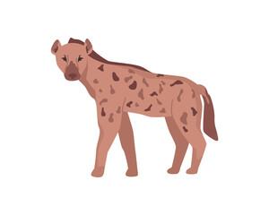 Hyena carnivoran mammal African wildlife and fauna, isolated animal with spots on fur. Africa nature and bioreserve. Savannah or wilderness species. Flat cartoon, vector illustration