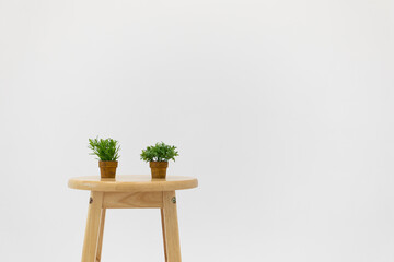 Two small flowerpots on a wooden chair on a white background.
