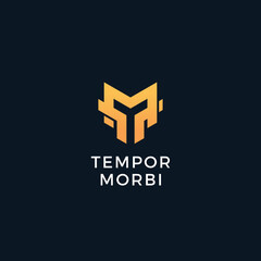 Obraz premium TM or MT. Monogram of Two letters T and M. Vector logo template.