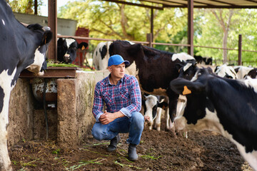 farmer cowboy at cow farm ranch