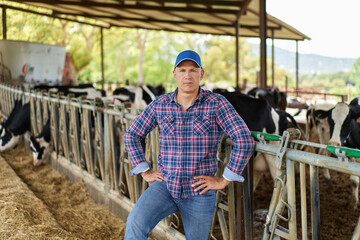 farmer cowboy at cow farm ranch