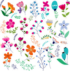 Set of floral hand drawn elements