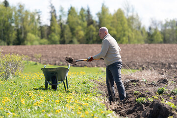 Middle aged man working with garden tools, shovel and wheelbarrow on the site of a country house.