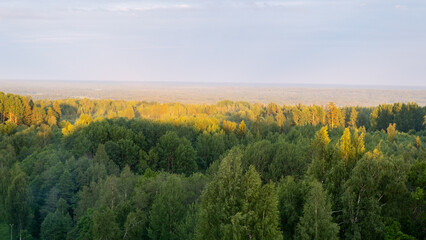 Beautiful Latvian landscape with forests, meadows, cloudy skies.