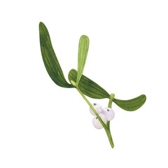 Christmas Mistletoe branch, berries isolated on white. Watercolor hand drawn Xmas illustration. Art for greeting card