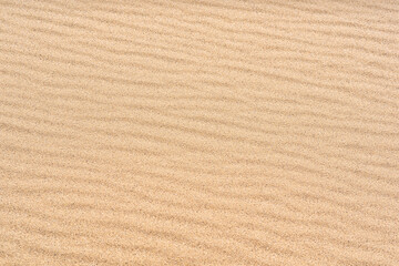 Fototapeta na wymiar wind ripples on the sandy surface in the desert