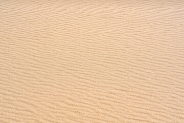 wind ripples on the sandy surface in the desert