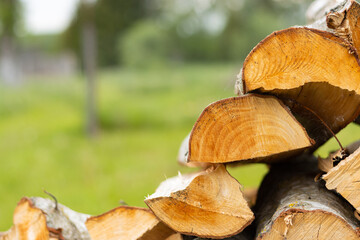 old firewood on the grass in the web in the village background