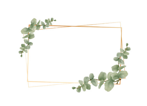 Greenery Eucalyptus Leaves Watercolor with geometric luxury gold frame isolated on white background. Natural border for wedding, invitation and card vector illustration