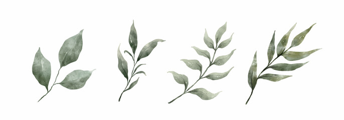 Greenery Leaves Watercolor Hand Drawn. Set of green leaf in watercolor style isolated on white background. Decorative beauty elegant illustration collection for design