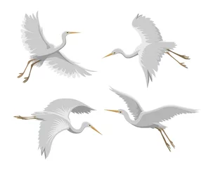 Foto op Plexiglas Flying heron birds © vectortatu