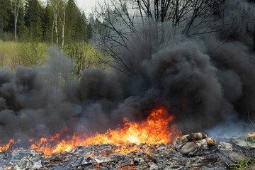 Fire in forest. Smoke over trees. Harm to nature.