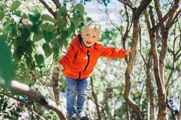 Naklejka na ściany i meble Happy cute caucasian boy on the tree, happy and smiling child playing in green park