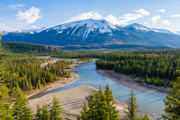 Canadian Rockies Jasper National Park landscape background. Athabasca River, Whistlers Peak nature scenery in late spring to summer. Alberta, Canada.