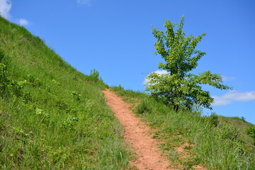 Fototapeta na wymiar footpath in mountains going up to blue sky