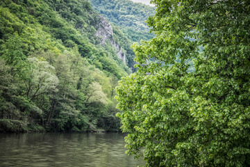 Fototapeta premium Beautiful nature on the banks of Western Morava river in Serbia