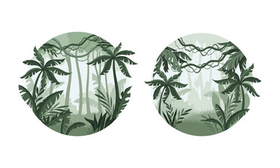 Wild tropical forest. Rainforest jungle misty landscape round shaped design vector illustration