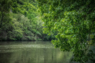 Fototapeta premium Beautiful nature on the banks of Western Morava river in Serbia