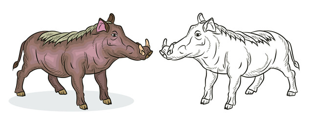 
Animals. Black and white and color image of a large wild boar,
 coloring book for children.
Vector drawing, background, design.
