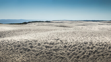Sandy dunes in a summer time at Slowinski National Park, Poland