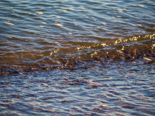 The background surface of the water in shallow water near the shore. Not a big wave near the coastline-textured background