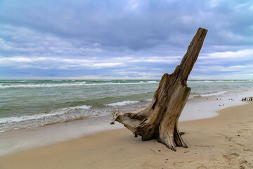 The west beach of Prerow during autumn storms.