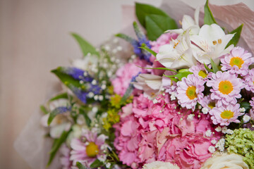 huge bouquet with pink hortensia- violet hudrongea flowers on white background. Romantic mood