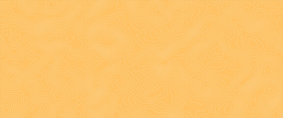 Topographic map. geographic mountain relief. abstract lines background, topographic line contour map background, geographic grid map, mountain trail terrain, terrain path. vector illustration.	