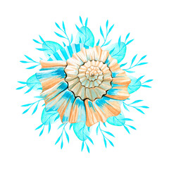 Watercolor illustration of seashell and seaweed. Marine composition.