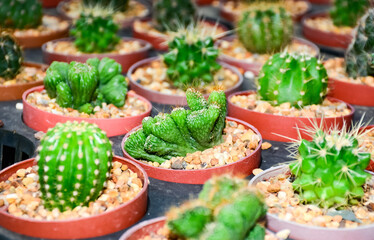 candy in a glass jar