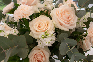 bunch of roses