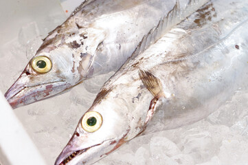 鮮魚コーナーの太刀魚