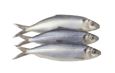 Three herring fishes isolated on white background