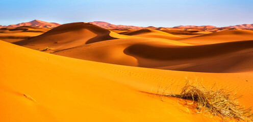Amazing view of sand dunes in the Sahara Desert. Location: Sahara Desert, Merzouga, Morocco. Artistic picture. Beauty world.