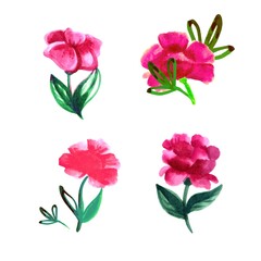 A set of four pink vector peonies. Watercolor peonies. Watercolor flowers. Wedding, festive peonies.
