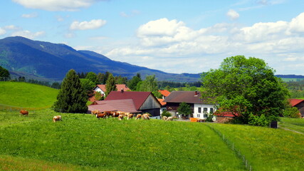 Fototapeta na wymiar malerische Landschaft im Ammergau mit Wiesen, Wald, Land- und Viehwirtschaft und herrlichem Himmel