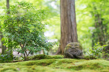京都 大原三千院のわらしべ地蔵と新緑