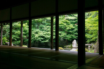 京都 蓮華寺の庭園と新緑
