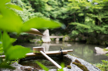 京都 蓮華寺の庭園と新緑