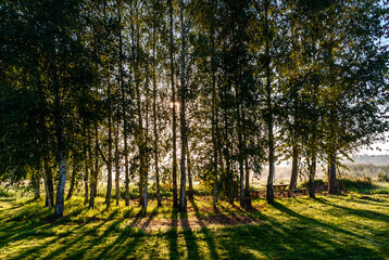 Lato w Narwiańskim Parku Narodowym, Podlasie, Polska © podlaski49