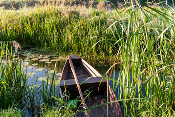 Lato w Narwiańskim Parku Narodowym, Podlasie, Polska © podlaski49