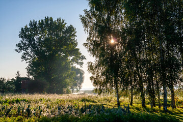 Lato w Narwiańskim Parku Narodowym, Podlasie, Polska © podlaski49